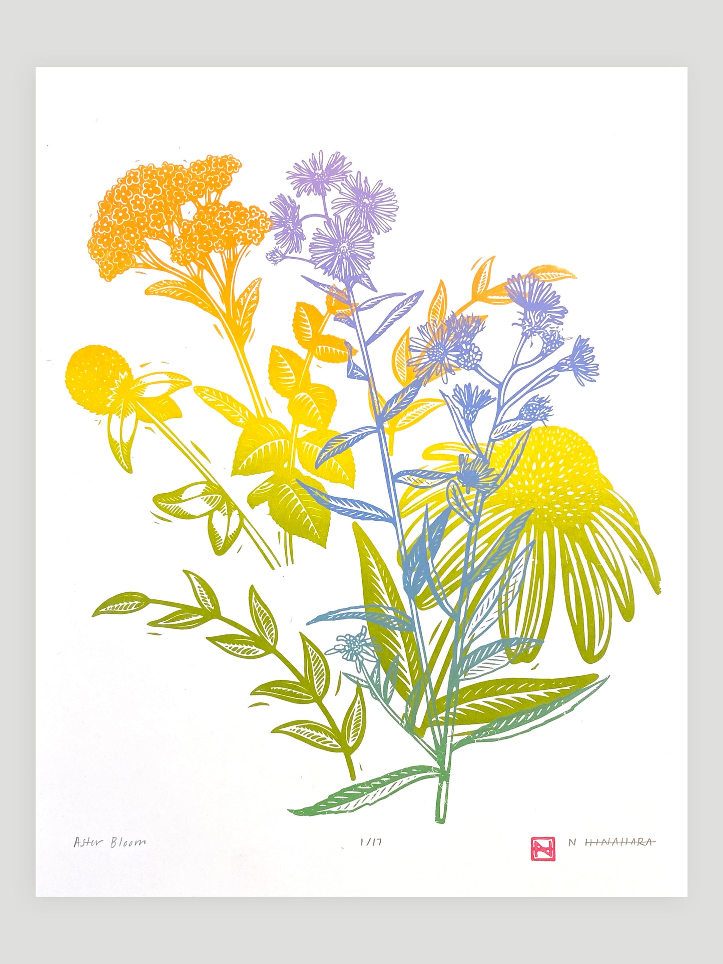 Aster Bloom Screenprint