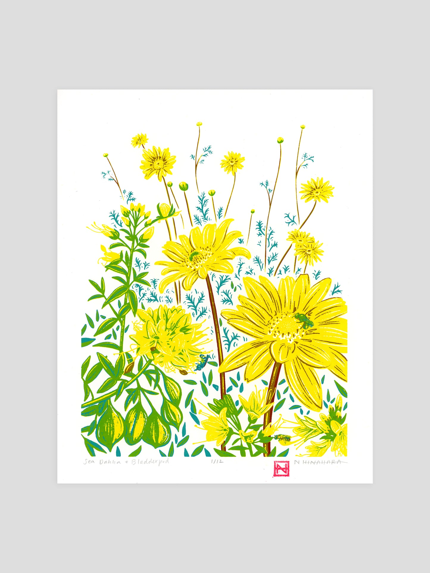 Sea Dahlia & Bladderpod Screenprint