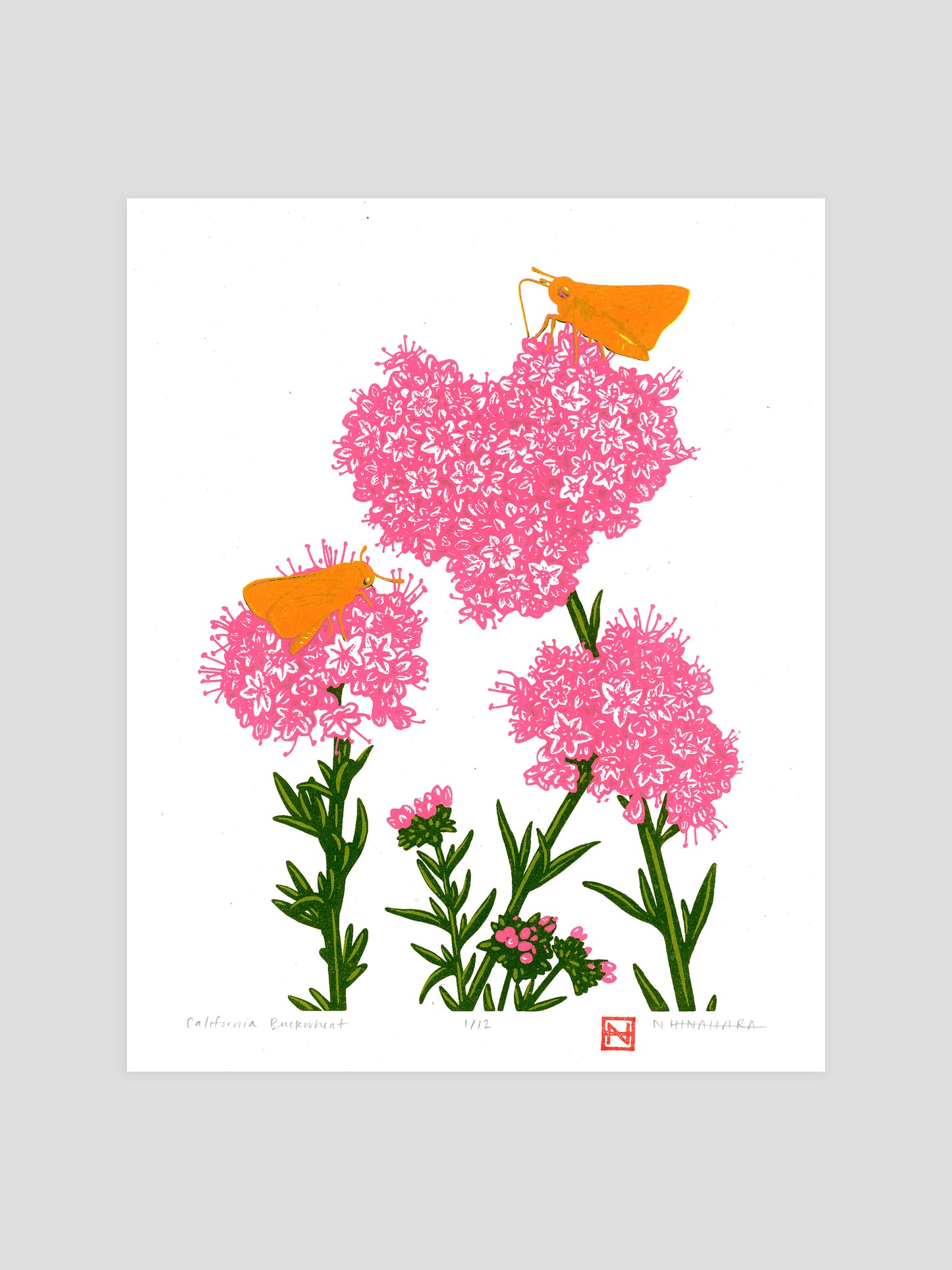 California Buckwheat Screenprint