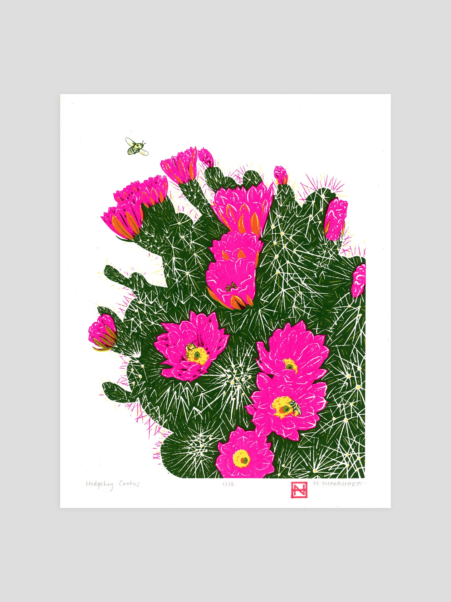 Hedgehog Cactus Screenprint