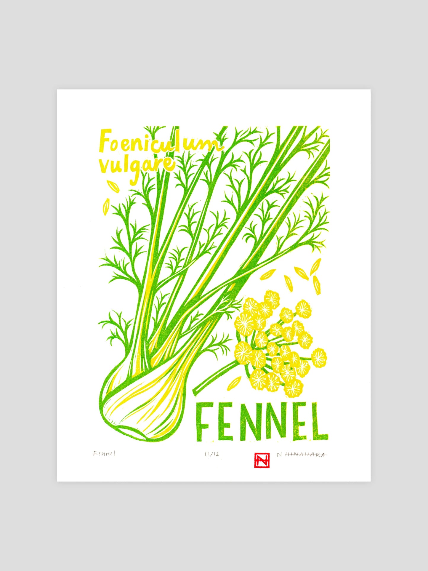 Fennel Woodcut Print