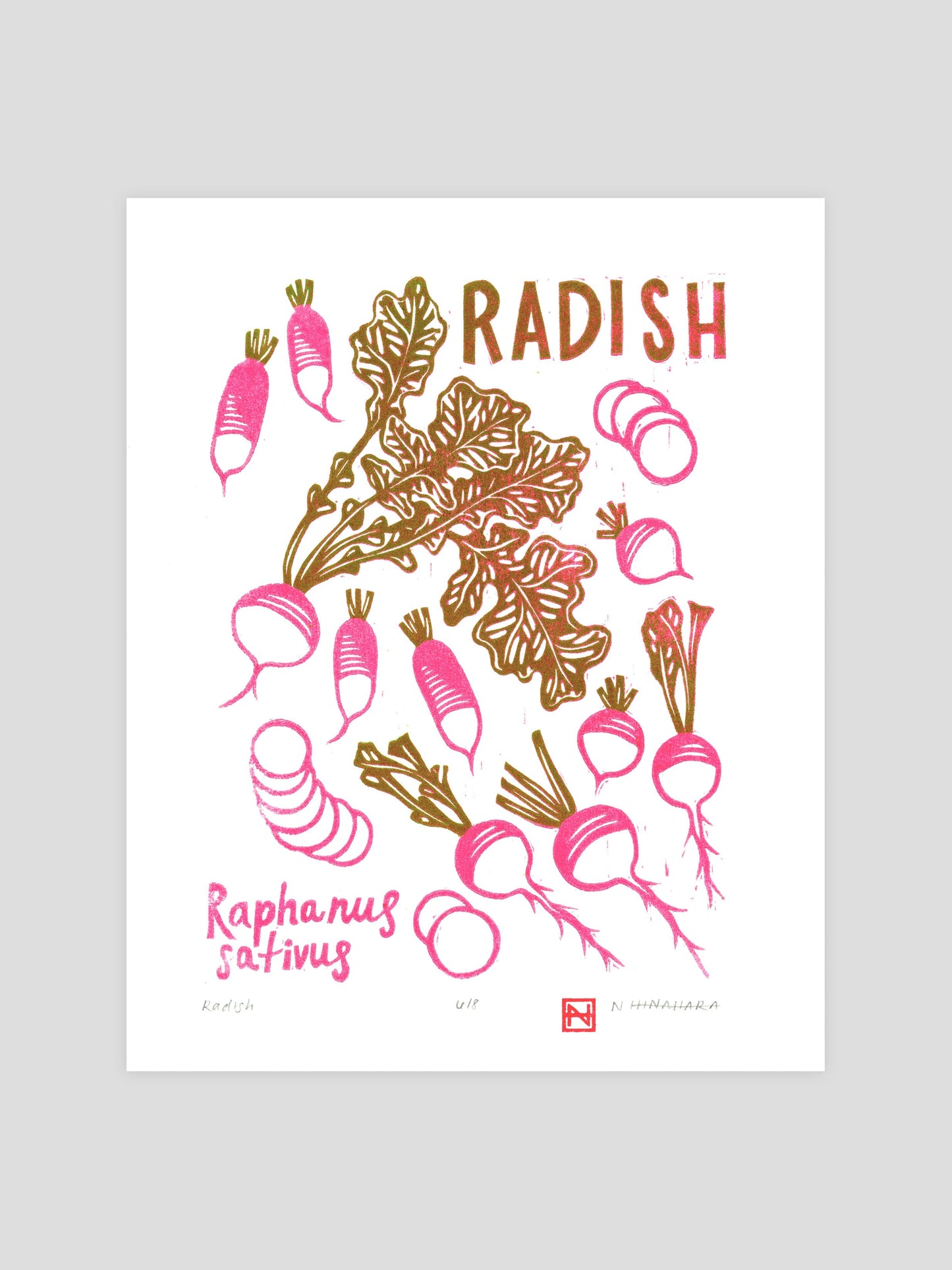 Radish Woodcut Print
