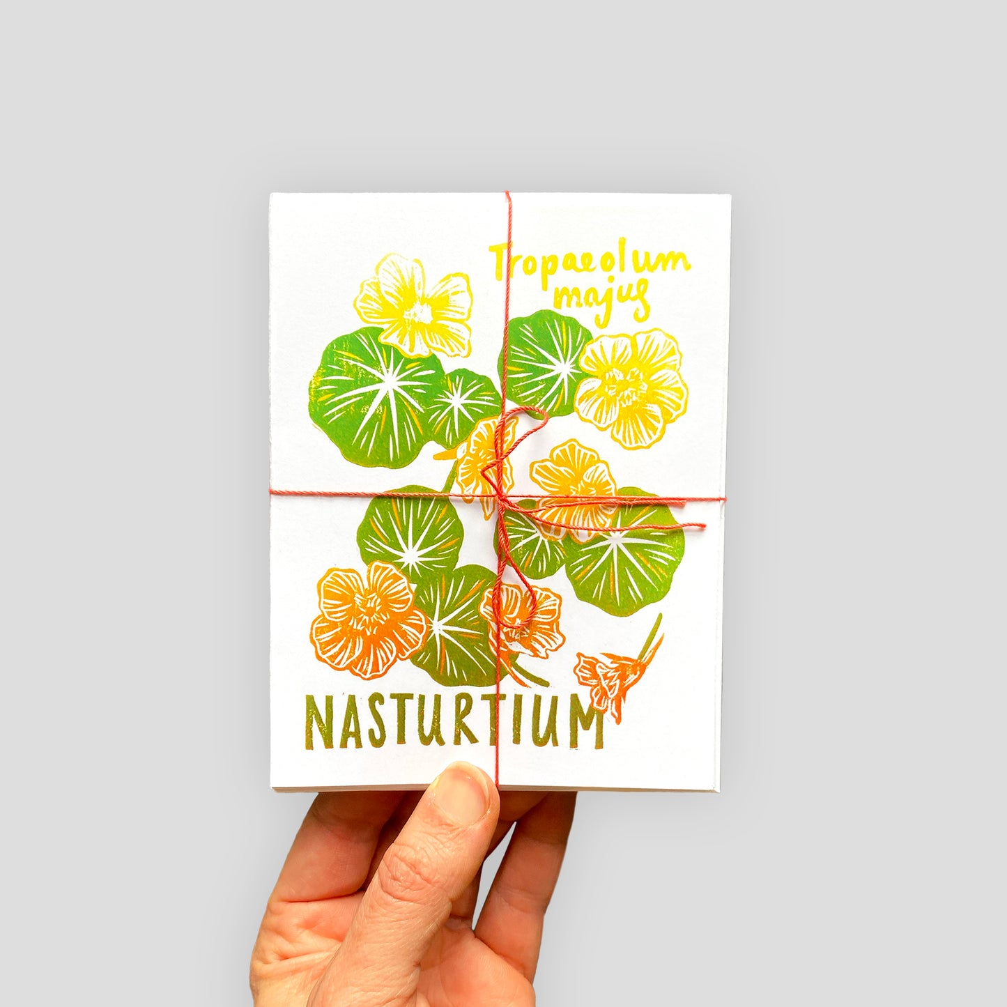 Summertime Plants Card Set
