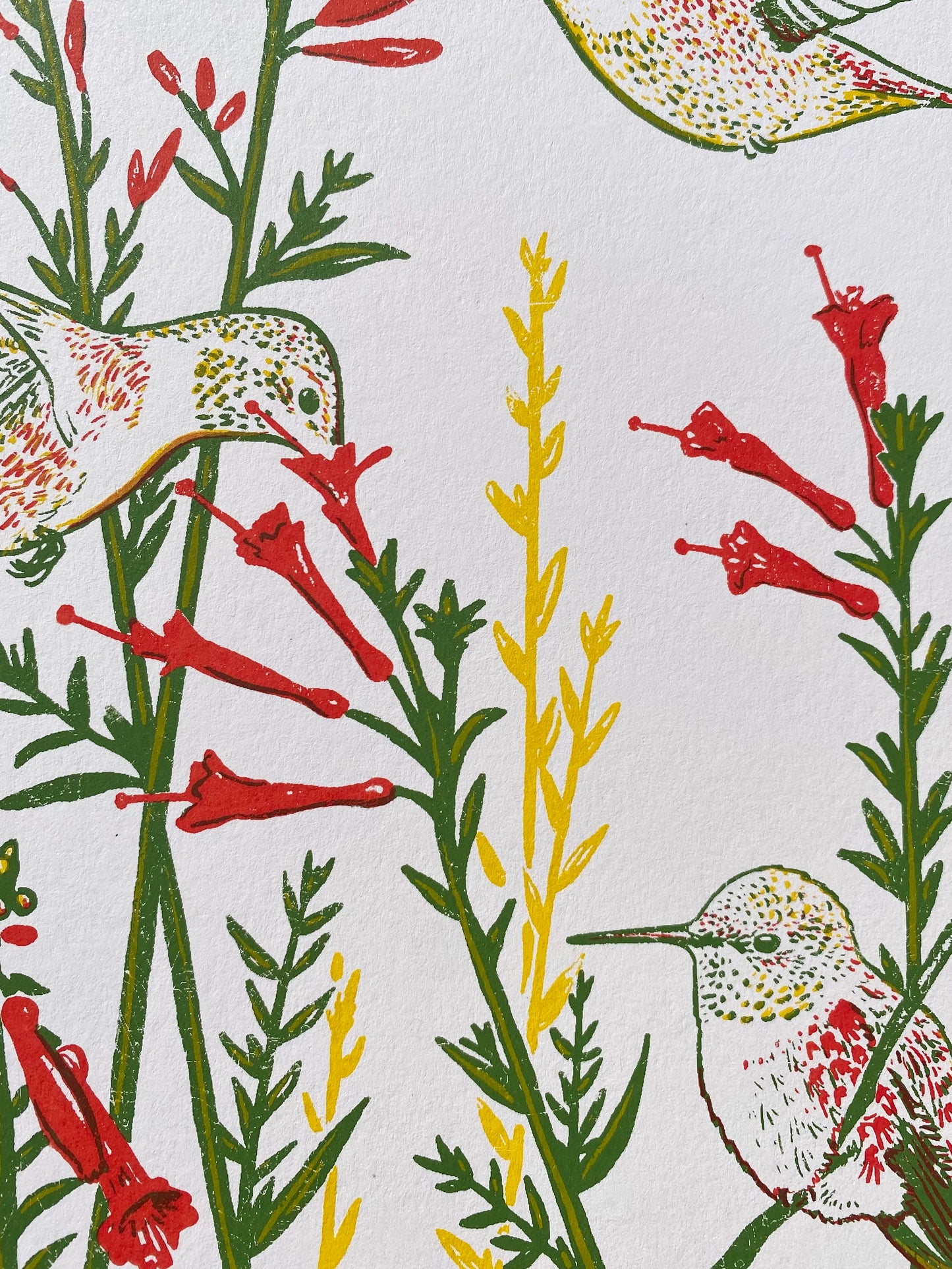 Border Kindness Screenprint