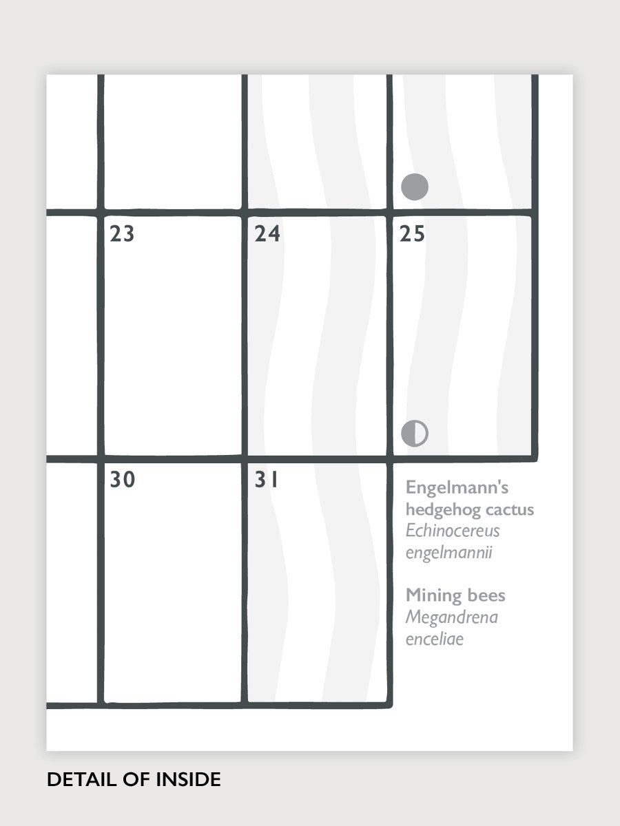 Desert to Coast 2026 Calendar