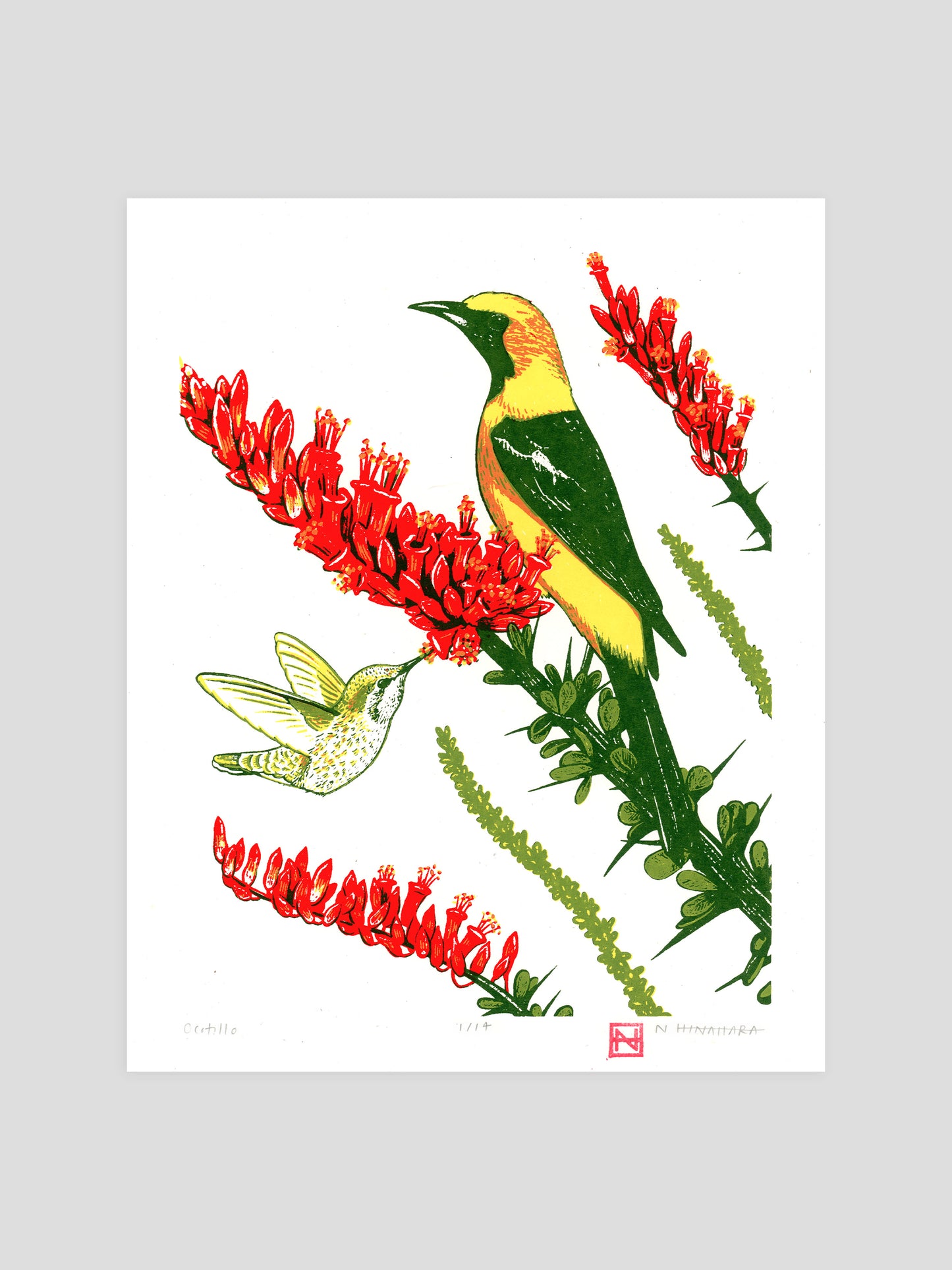 Ocotillo Screenprint
