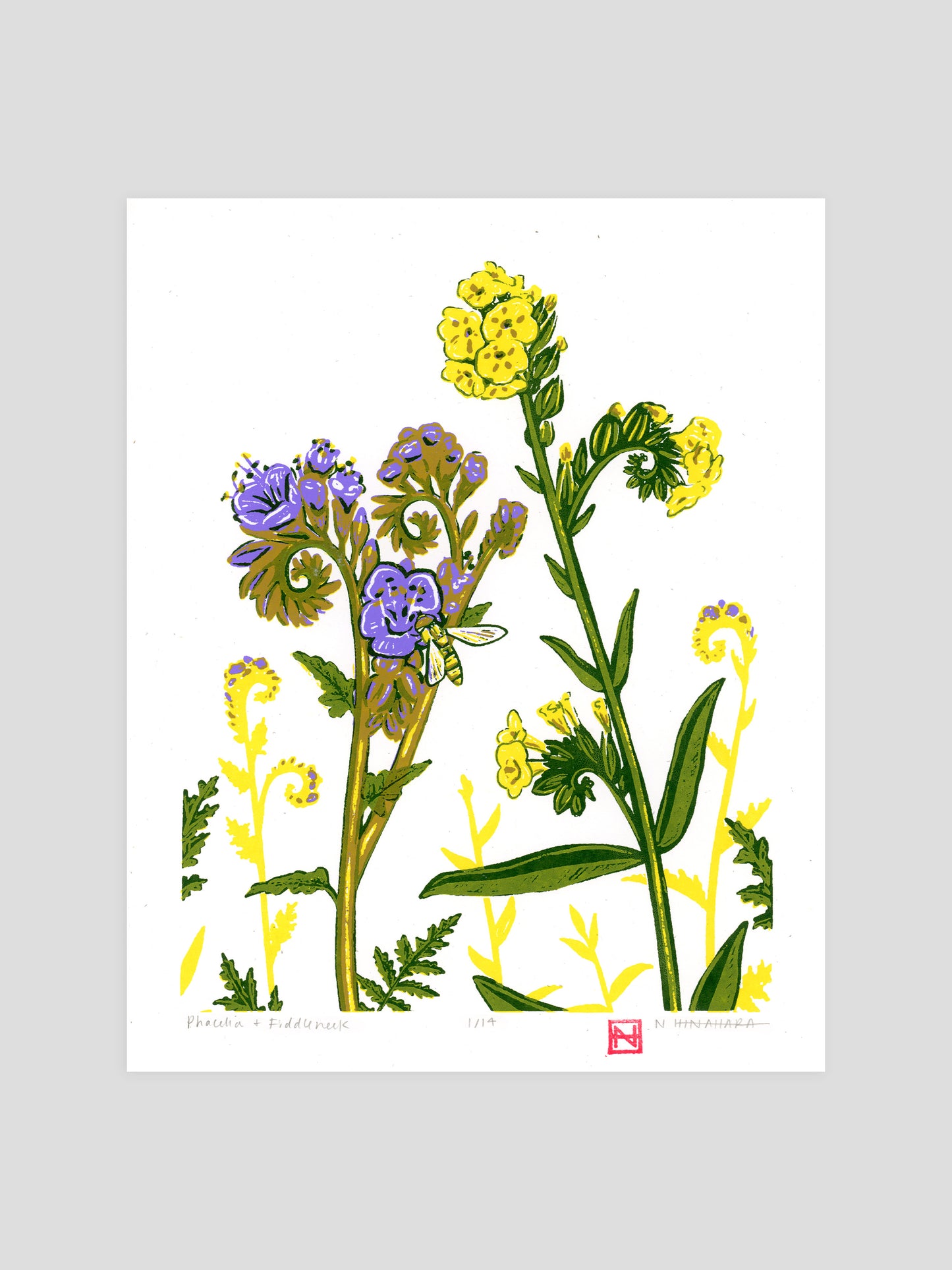 Phacelia & Fiddlehead Screenprint