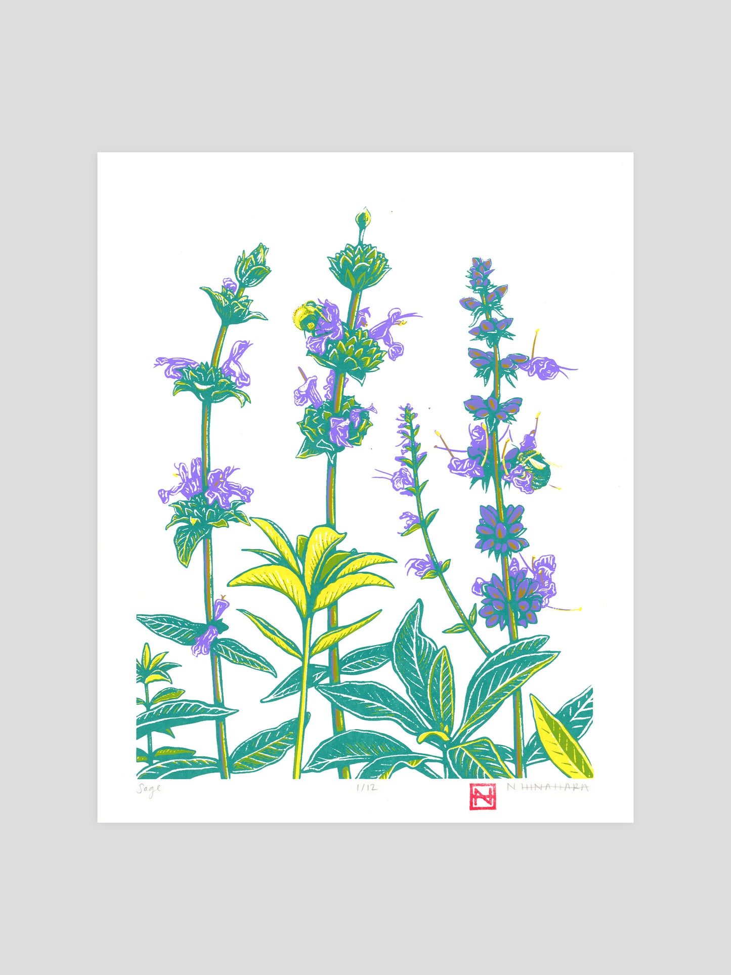 White & Black Sage Screenprint