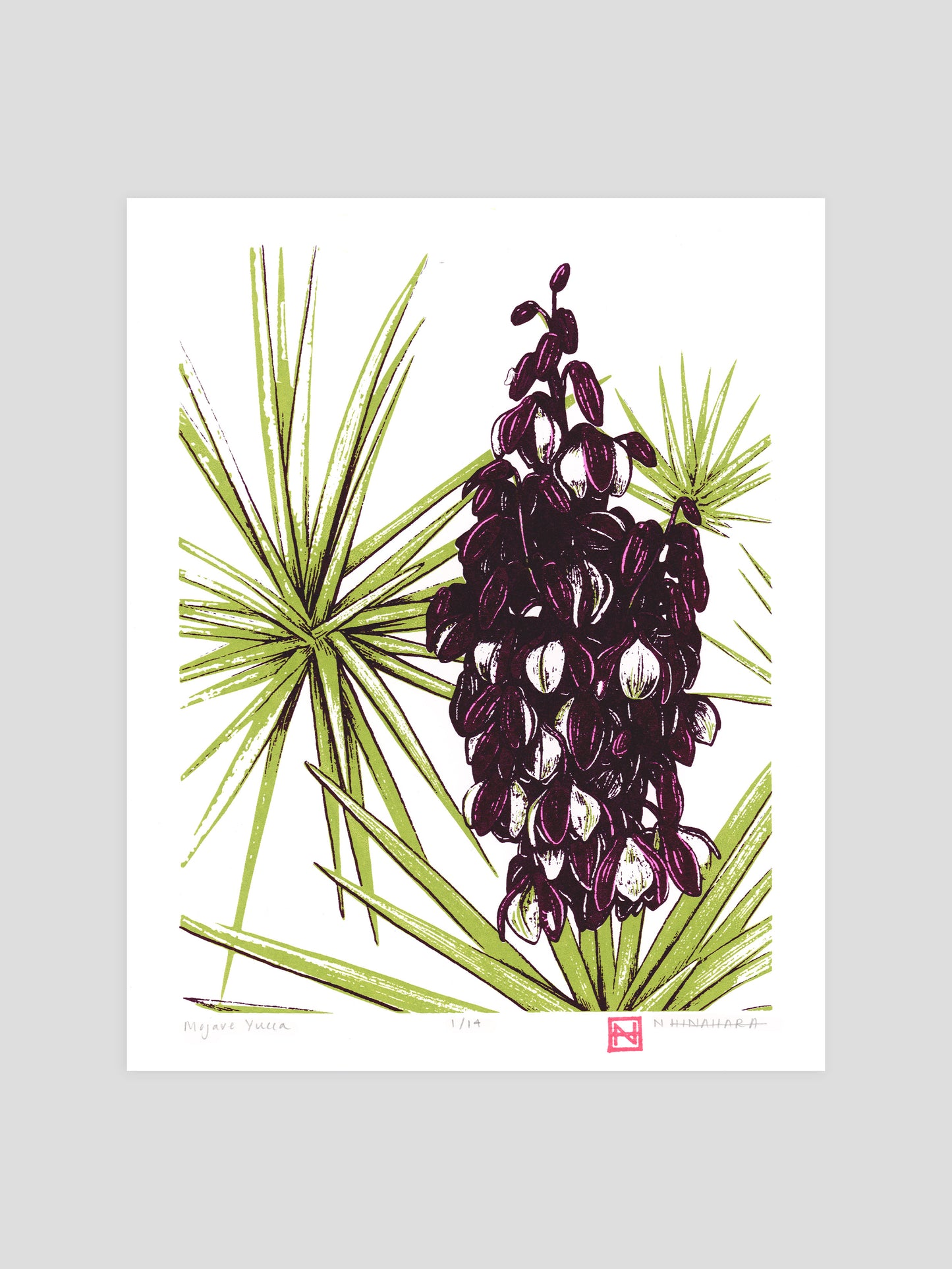 Mojave Yucca Screenprint