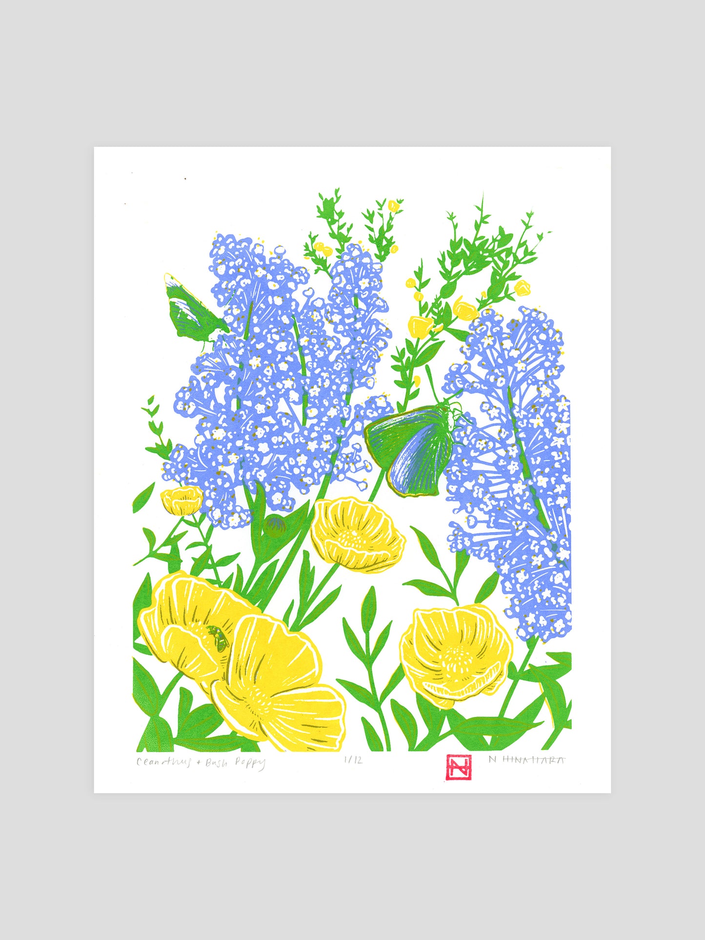 Ceanothus Screenprint