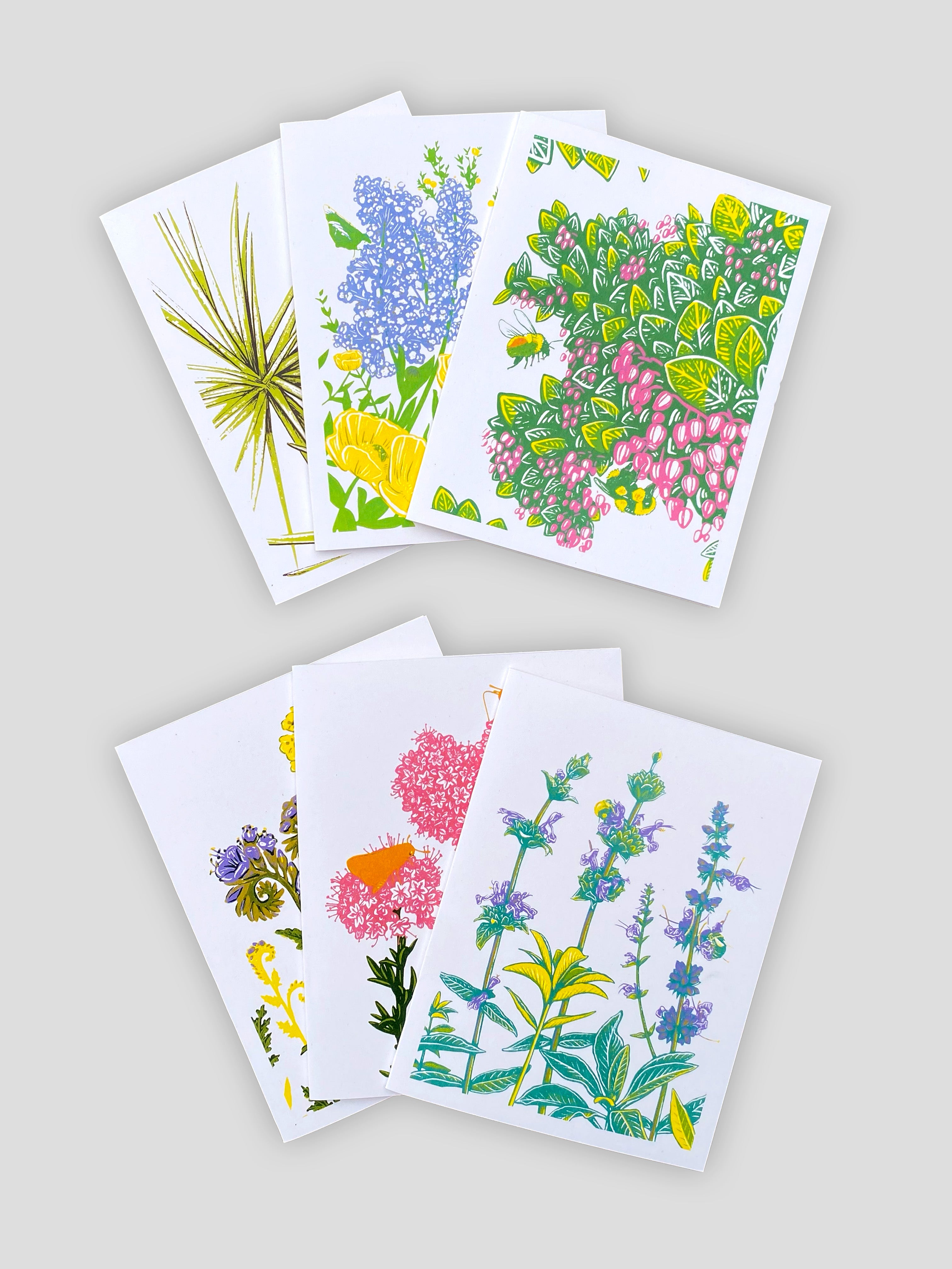 Chaparral Card Set – Natalie Hinahara Art & Design