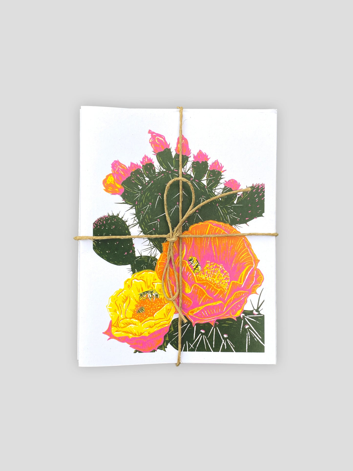 Desert & Coast Card Set