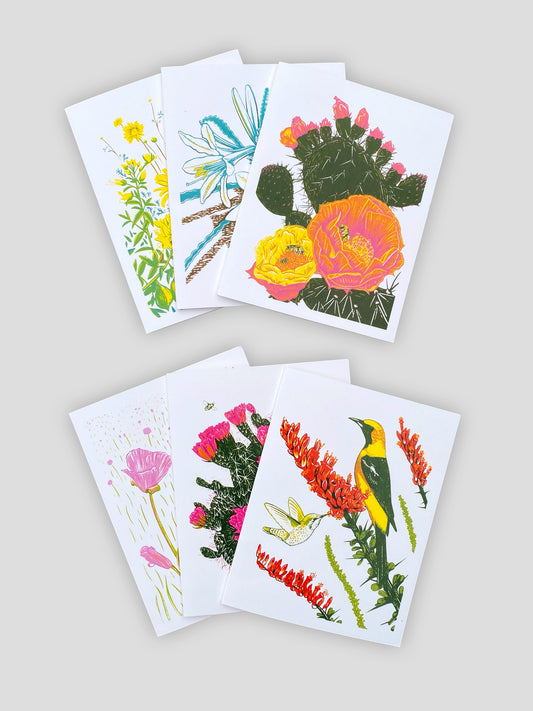 Desert & Coast Card Set