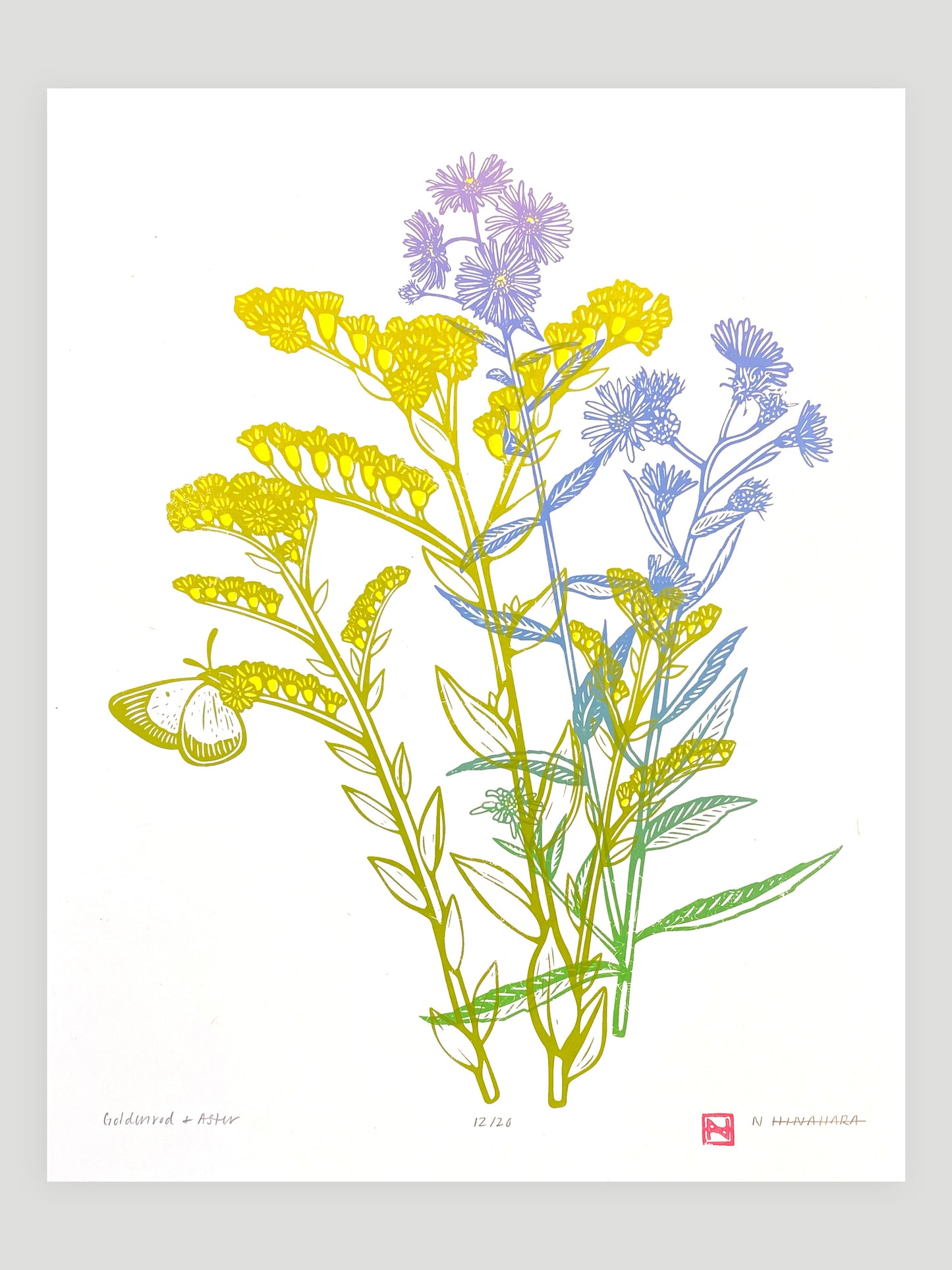 Goldenrod & Aster Screenprint