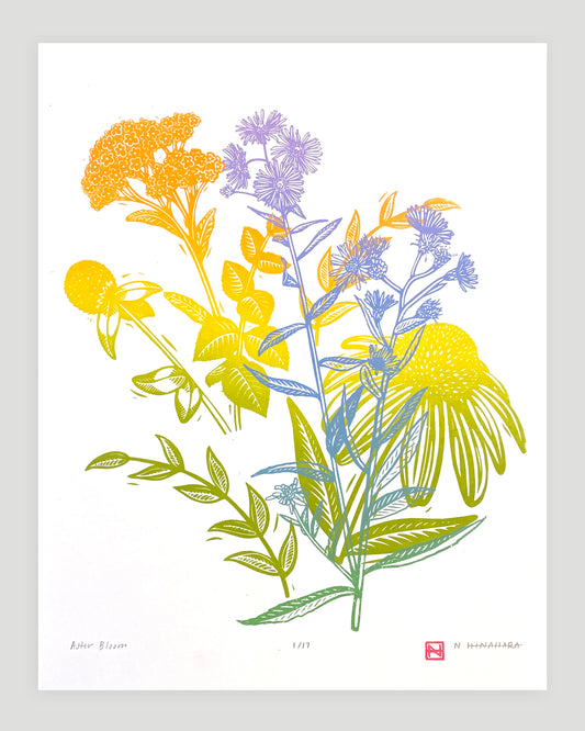 Aster Bloom Screenprint