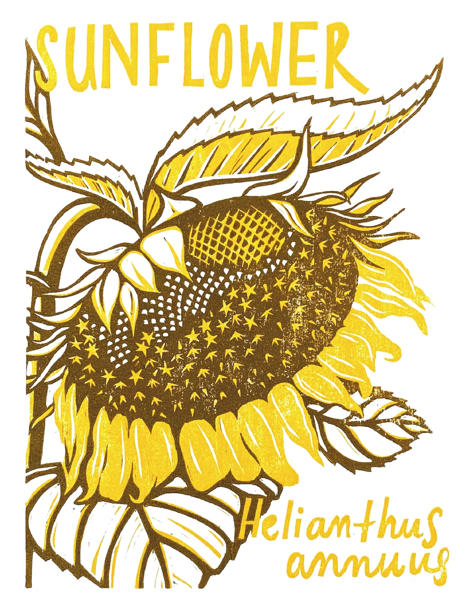 Plants You Can Eat - 2025 Block Print Calendar – Natalie Hinahara Art & Design plants-you-can-eat-2025-block-print-calendar-natalie-hinahara-art-design