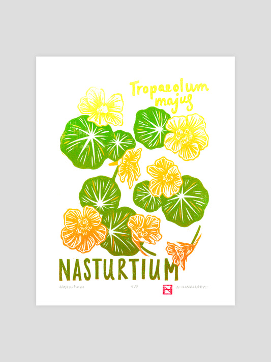 Nasturtium Woodcut Print