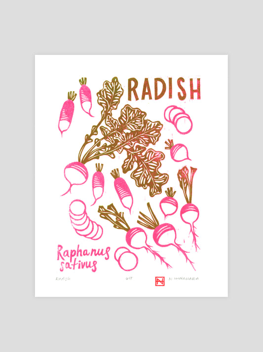 Radish Woodcut Print