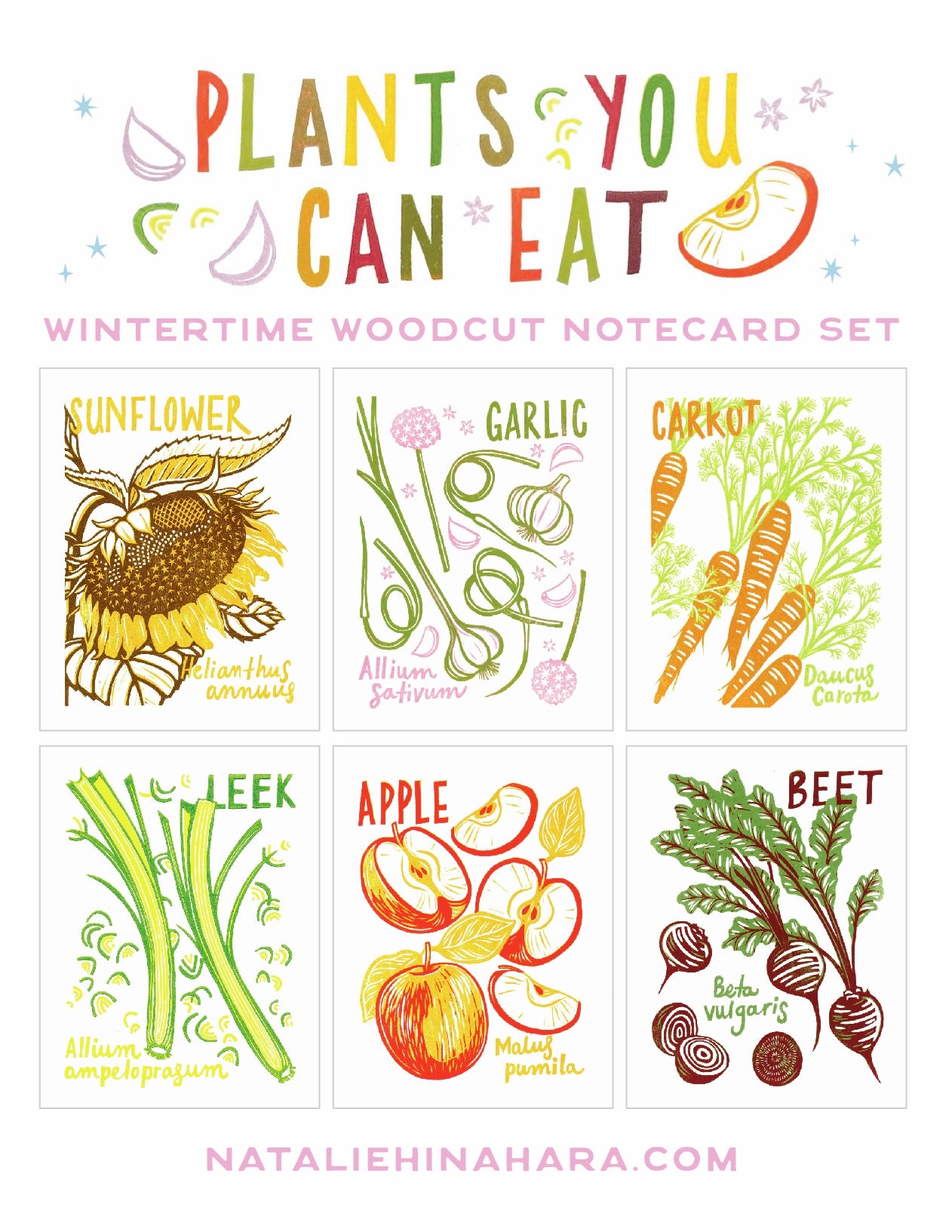 Wintertime Plants Card Set