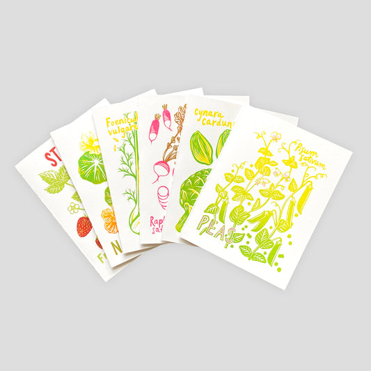 Summertime Plants Card Set