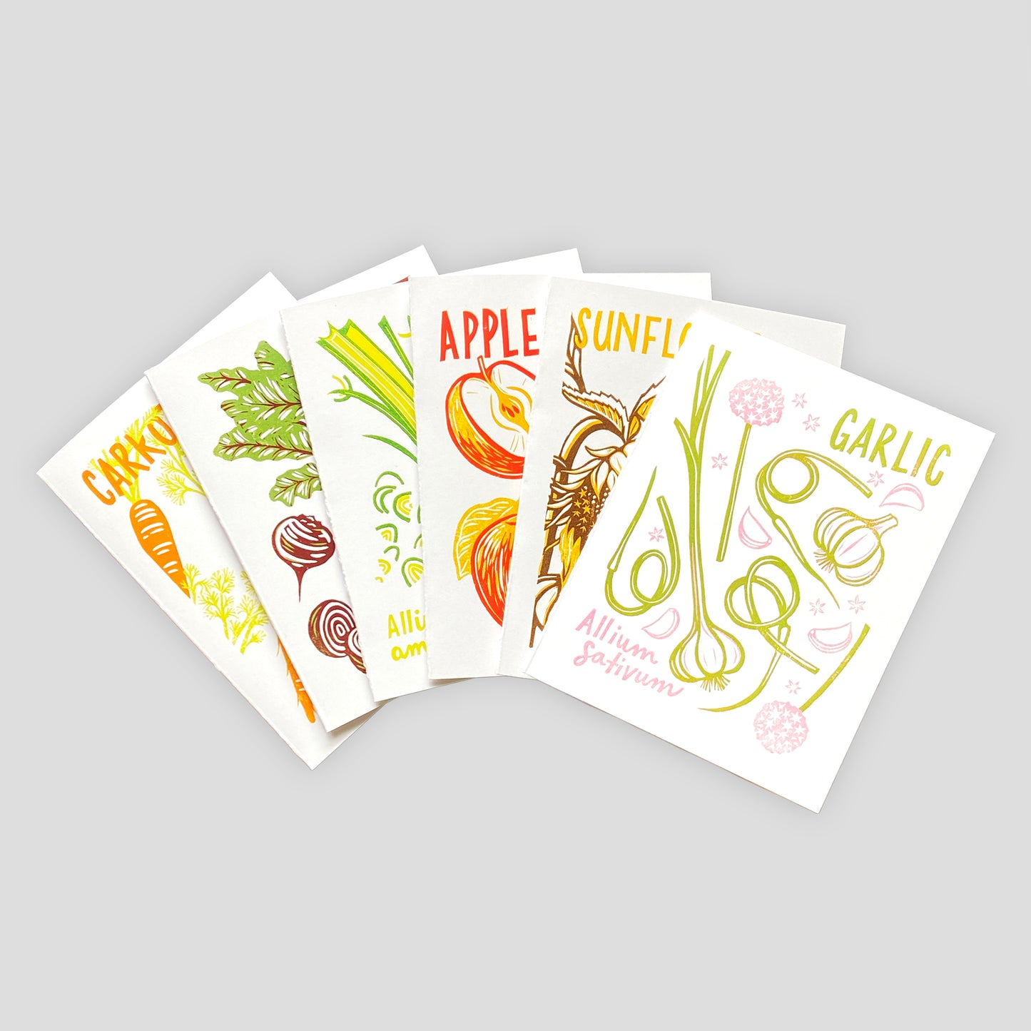 Wintertime Plants Card Set