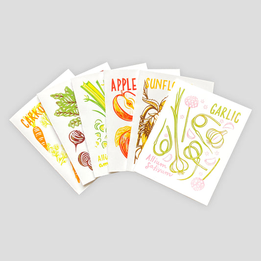 Wintertime Plants Card Set