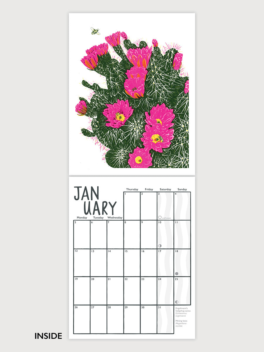 Desert to Coast 2026 Calendar