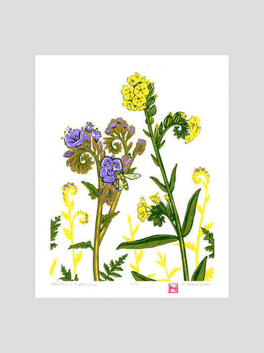 Phacelia & Fiddlehead Screenprint